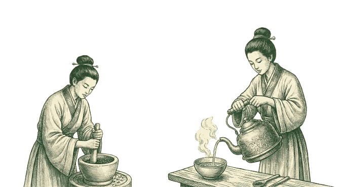 Origins of Tea: A Drink Born from Curiosity