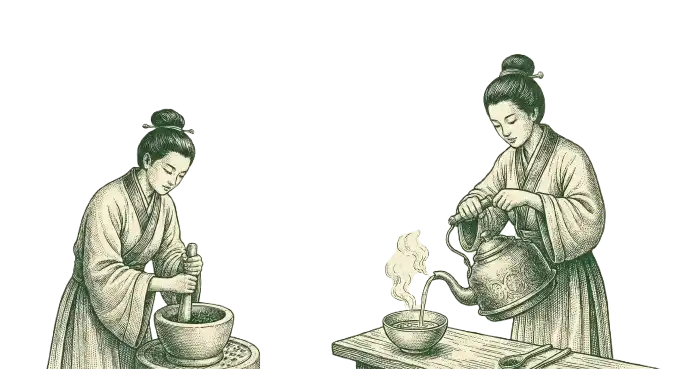 Origins of Tea: A Drink Born from Curiosity